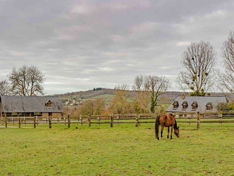 Equestrian property for Sale Lower Normandy BellesPierres