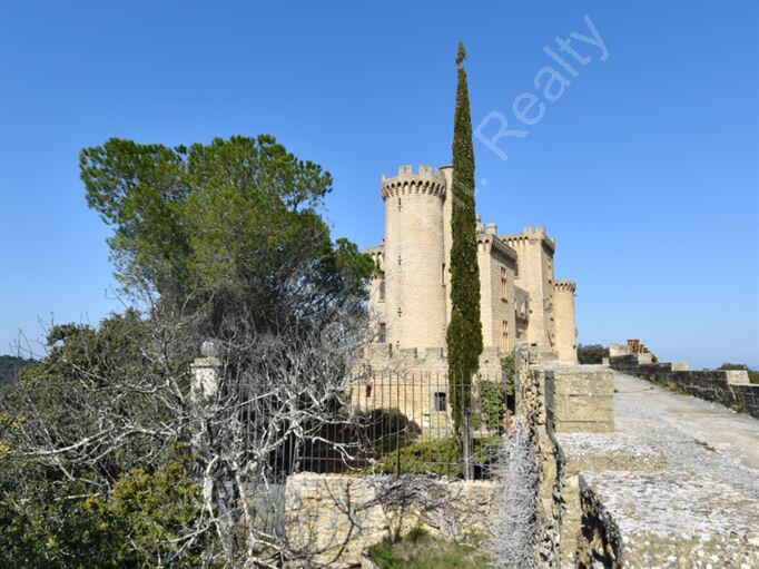 Sale Castle Pont-Saint-Esprit - 7 bedrooms