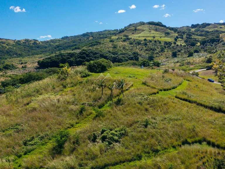 Land Pontaix - 1464m²