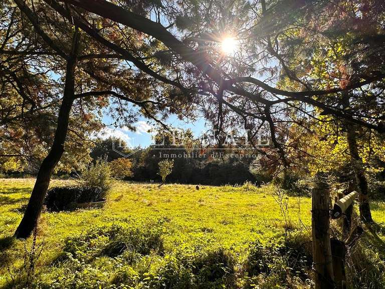 Manoir Pontchâteau - 7 chambres - 450m²