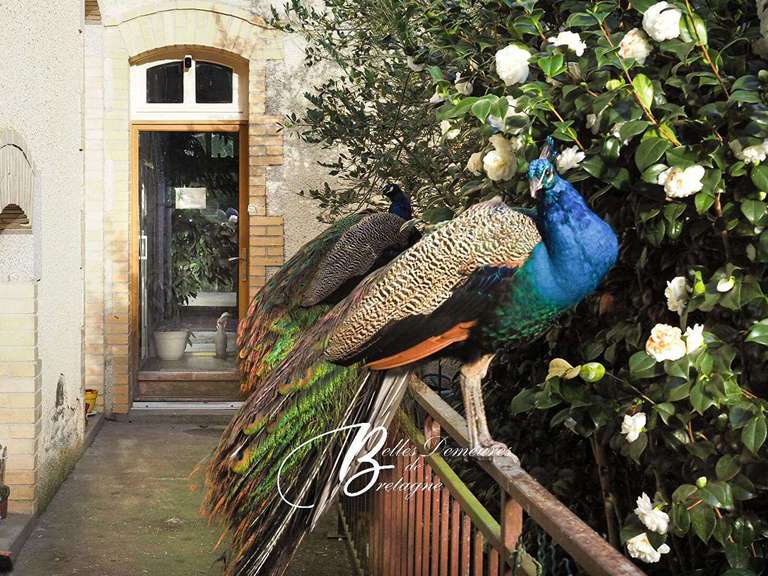 Maison Pontivy - 8 chambres