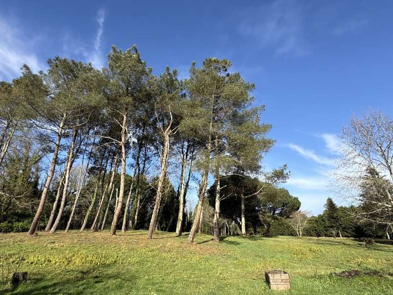 Maison Pontonx-sur-l'Adour - 4 chambres - 280m²