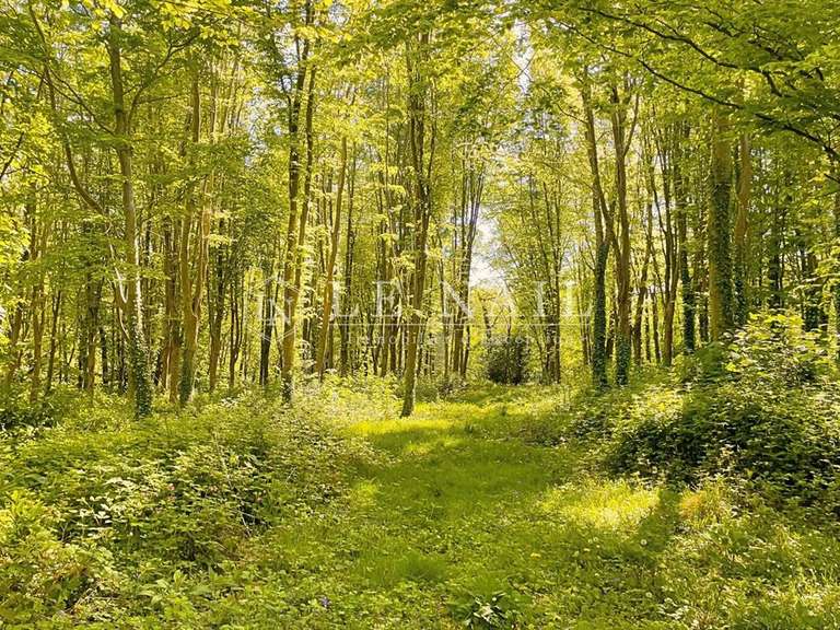 Propriété avec Vue sur mer Port-blanc - 10 chambres - 467m²