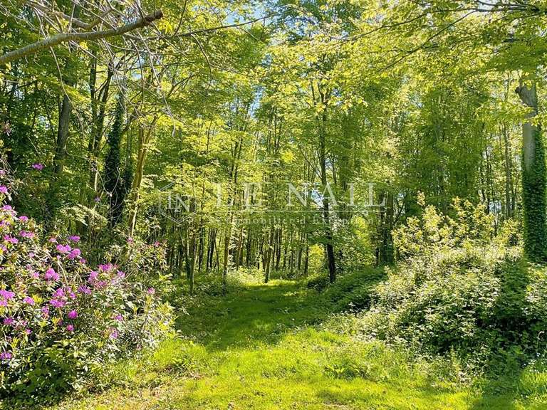 Propriété avec Vue sur mer Port-blanc - 10 chambres - 467m²