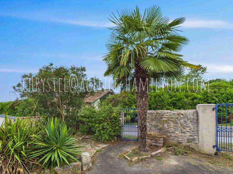 Maison Port-de-Lanne - 7 chambres - 260m²