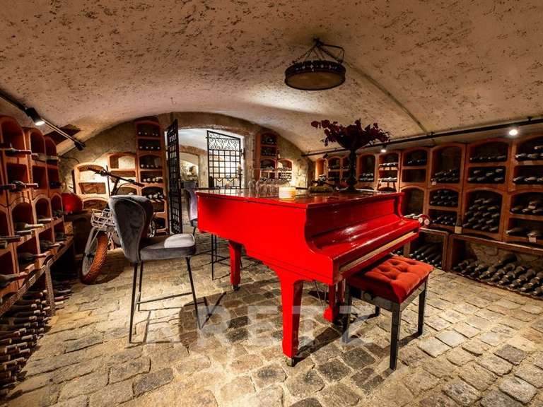 Maison Porte-de-Savoie - 7 chambres - 855m²