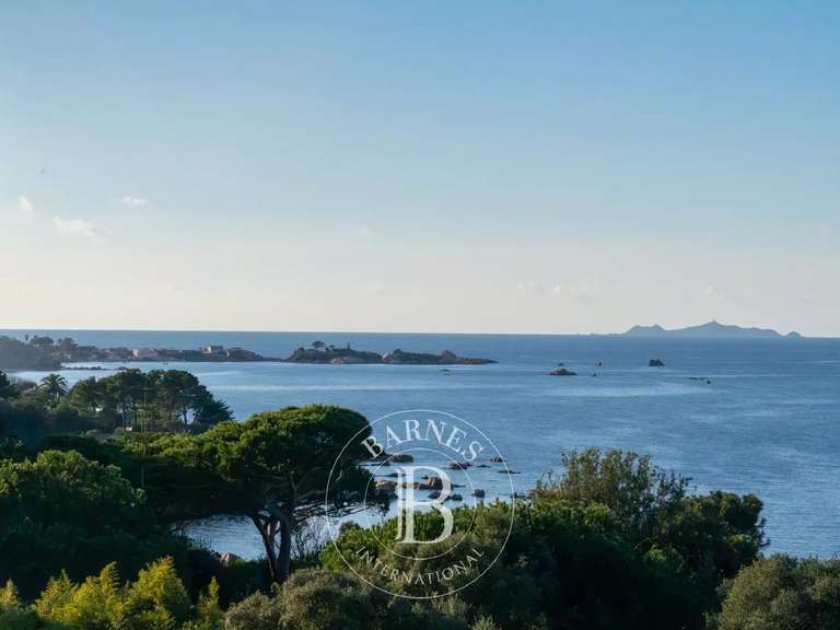 Apartment porticcio - 493m²
