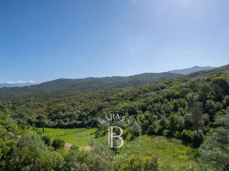 Villa Porticcio - 4 chambres - 250m²