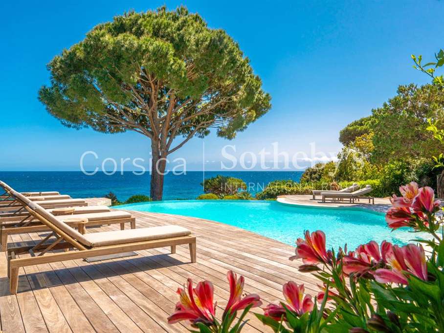 House Porto-Vecchio