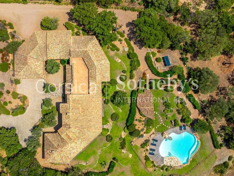 Maison Porto-Vecchio - 4 chambres - 350m²