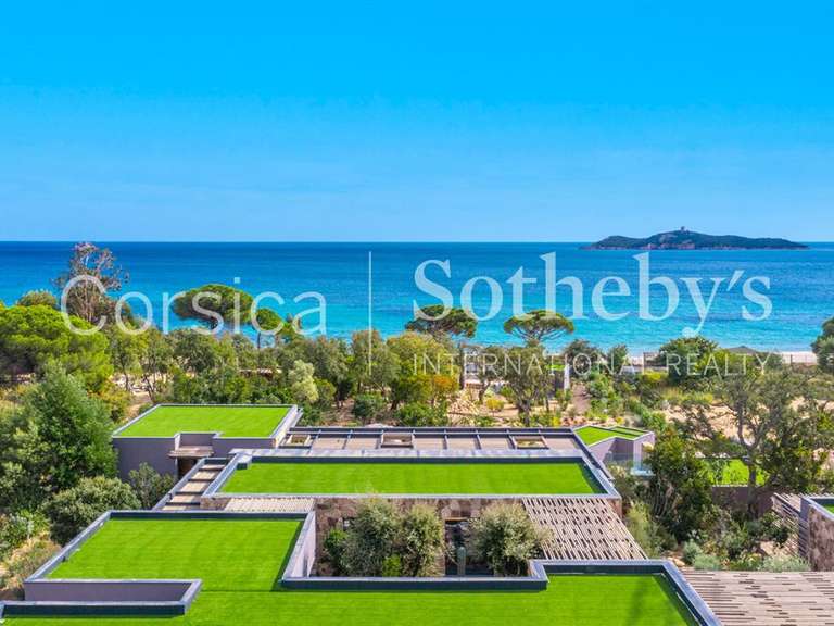 Maison Porto-Vecchio - 7 chambres - 800m²
