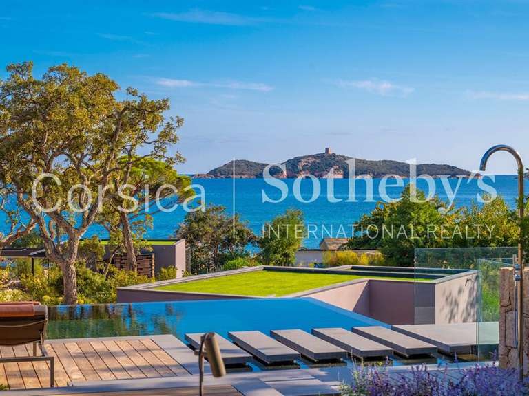 Maison Porto-Vecchio - 7 chambres - 800m²