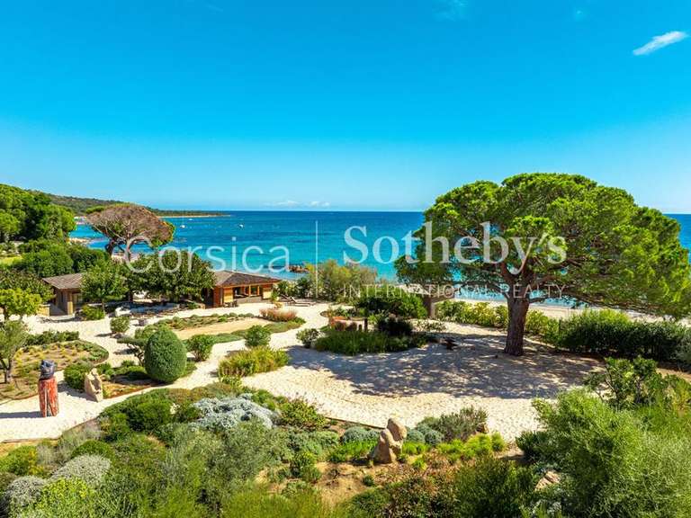 Maison Porto-Vecchio - 6 chambres - 470m²