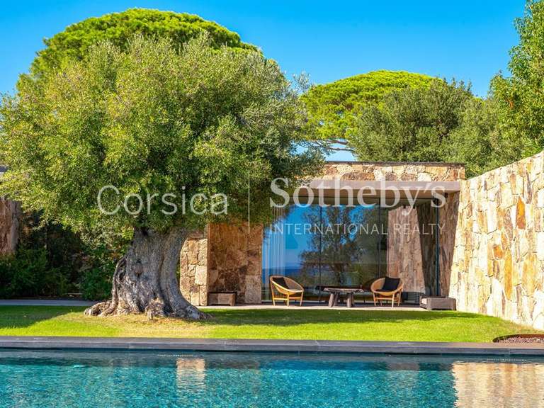 Maison Porto-Vecchio - 6 chambres - 470m²