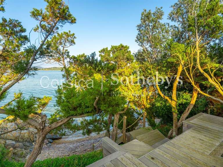 Maison Porto-Vecchio - 5 chambres - 350m²