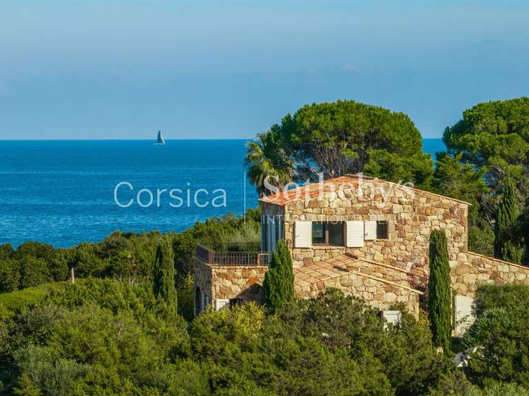 Maison Porto-Vecchio - 5 chambres - 350m²