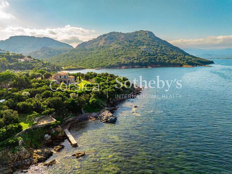 Maison Porto-Vecchio - 5 chambres - 350m²