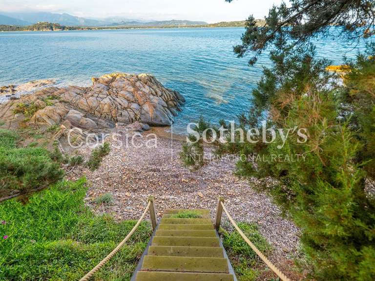 House Porto-Vecchio - 5 bedrooms - 350m²