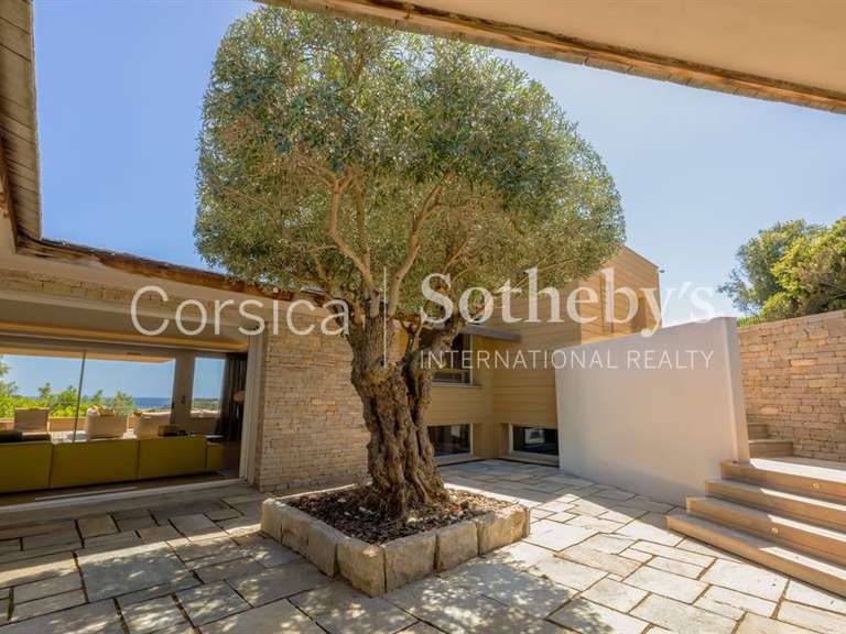 Maison Porto-Vecchio - 5 chambres - 490m²