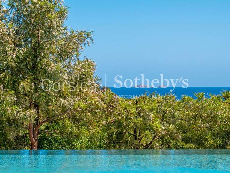 House Porto-Vecchio - 5 bedrooms - 490m²