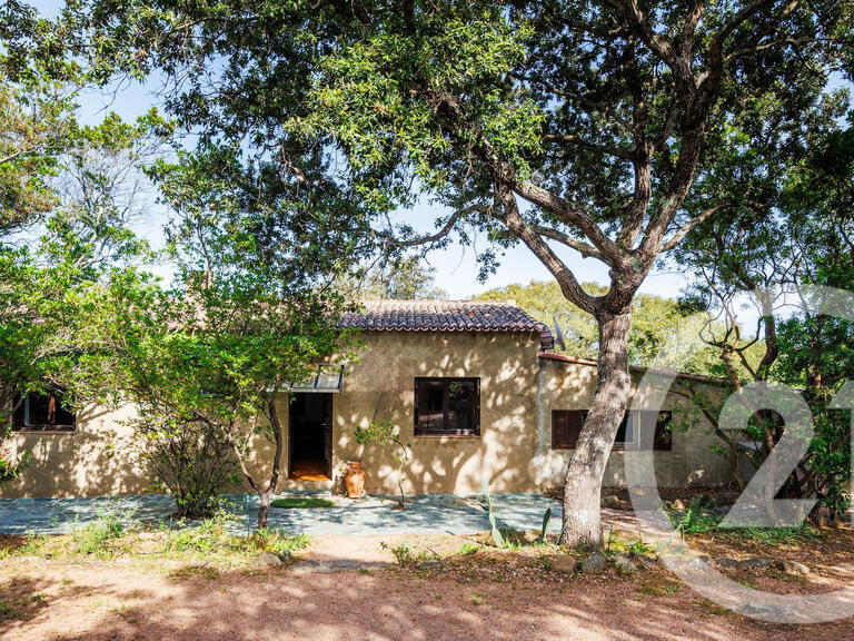 House Porto-Vecchio - 3 bedrooms