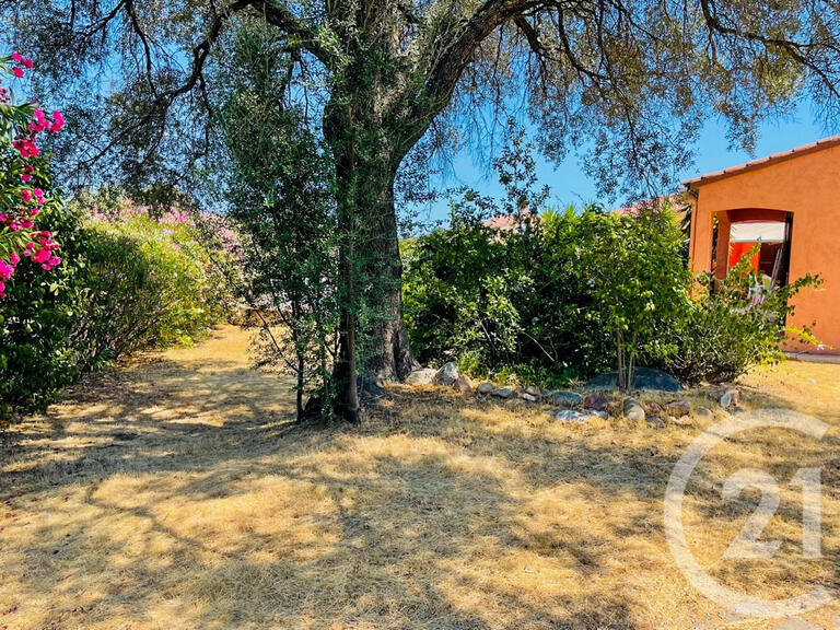 Maison Porto-Vecchio - 4 chambres - 14m²