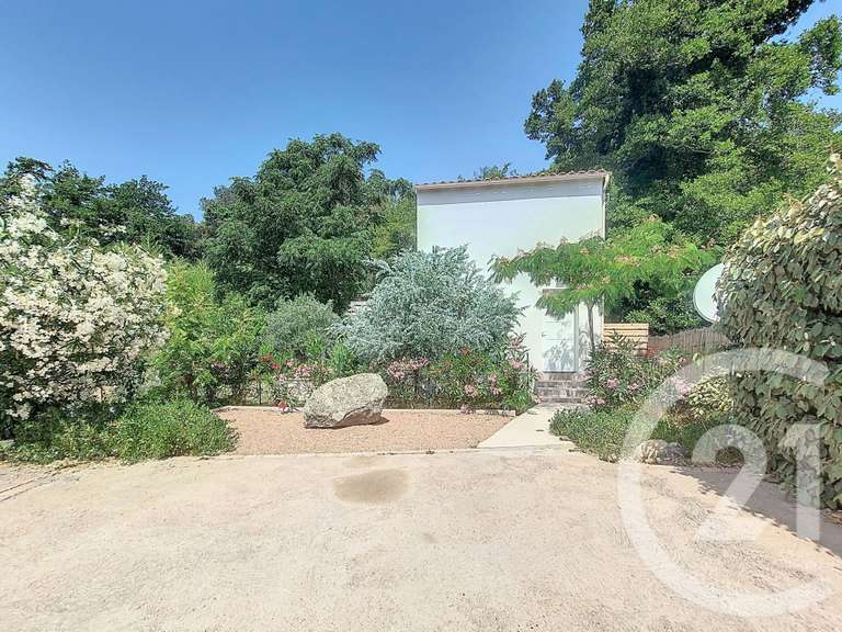 Maison Porto-Vecchio - 5 chambres - 310m²