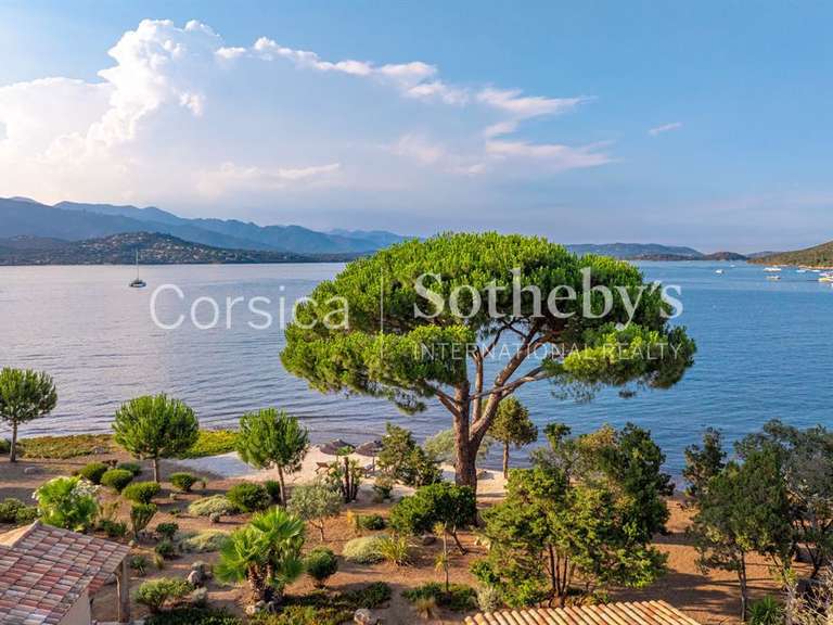 Maison Porto-Vecchio - 5 chambres - 250m²