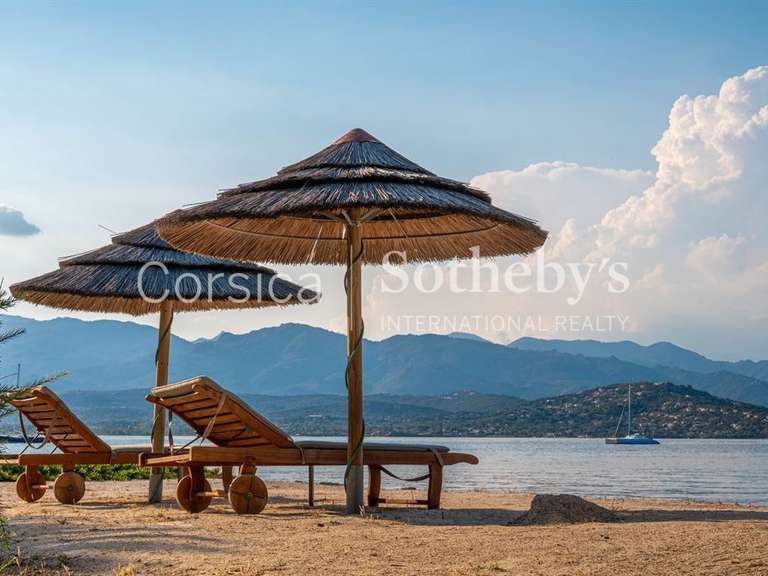 Maison Porto-Vecchio - 5 chambres - 250m²