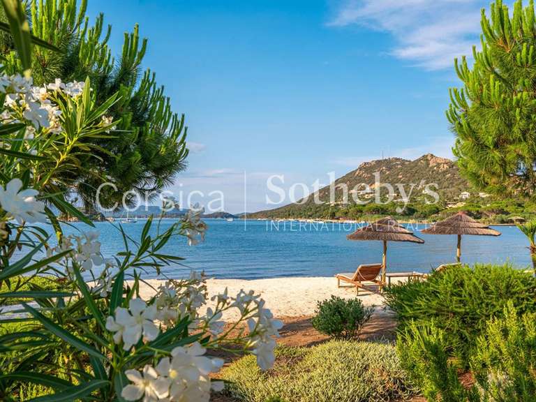 Maison Porto-Vecchio - 5 chambres - 250m²