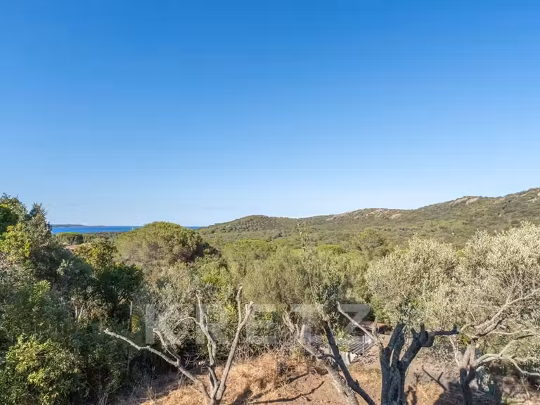 Maison Porto-Vecchio - 4 chambres - 169m²