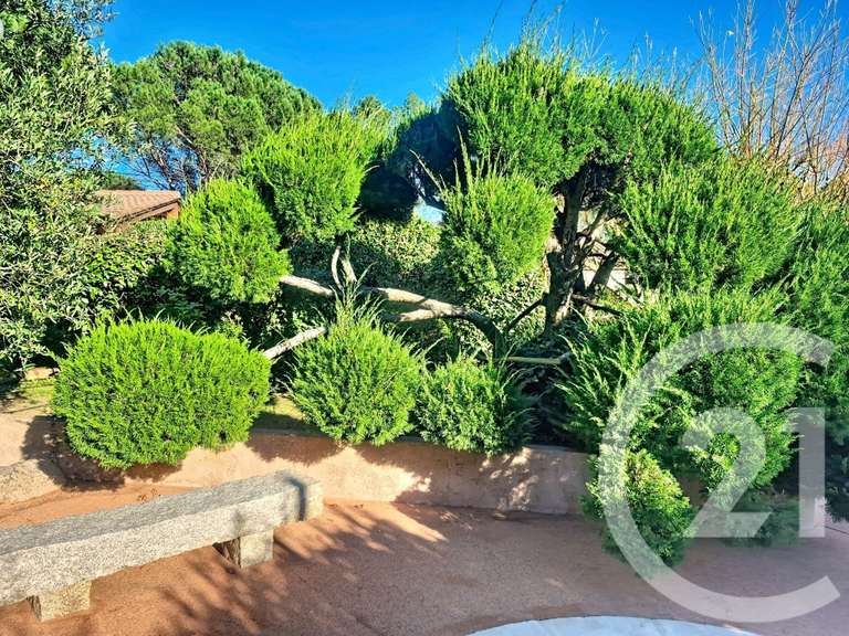 Maison Porto-Vecchio - 10 chambres - 170m²