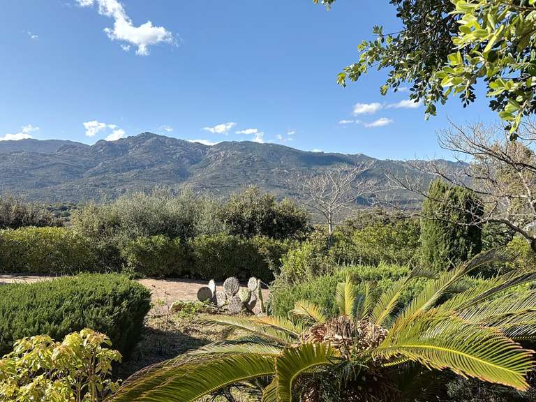 Maison Porto-Vecchio - 3 chambres - 150m²