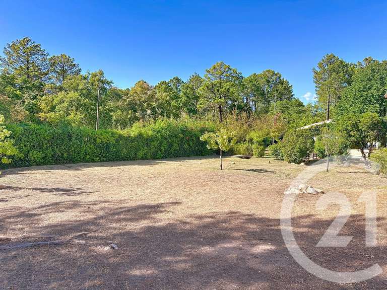 Maison Porto-Vecchio - 4 chambres - 150m²