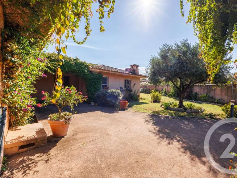 Maison Porto-Vecchio - 4 chambres - 292m²
