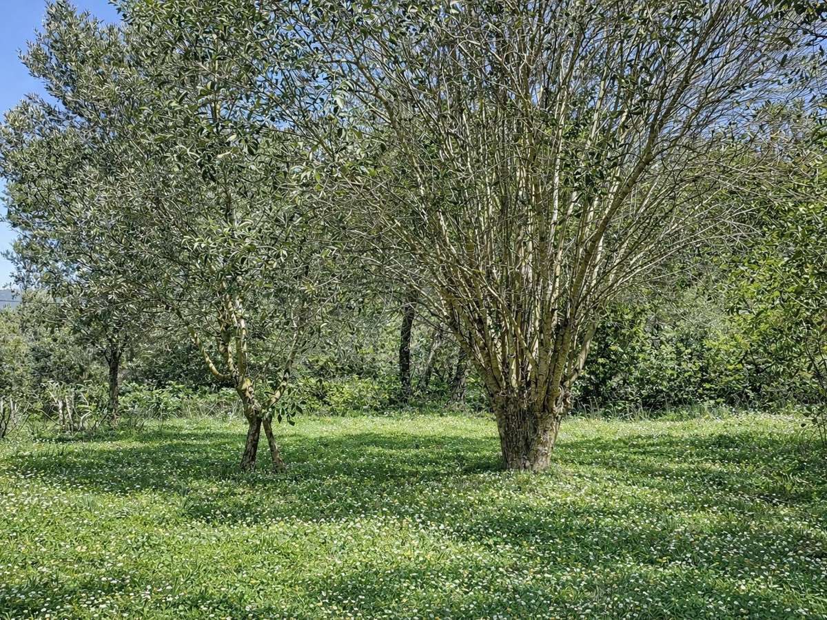 Maison Porto-Vecchio