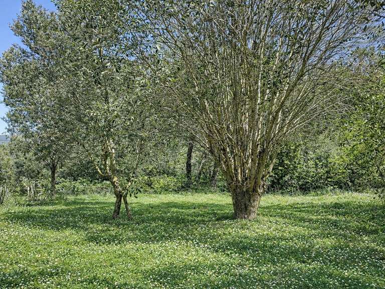 Maison avec Vue sur mer Porto-Vecchio - 6 chambres - 380m²