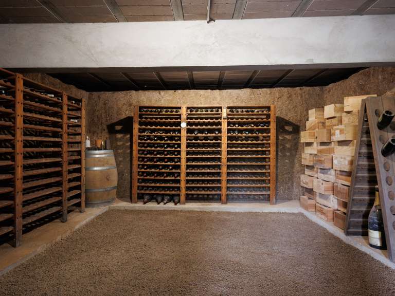 Maison Porto-Vecchio - 5 chambres - 365m²