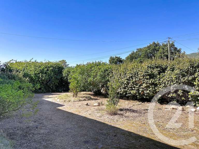 Maison Porto-Vecchio - 4 chambres - 166m²