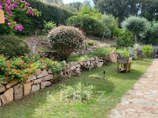 Maison Porto-Vecchio - 3 chambres - 234m²