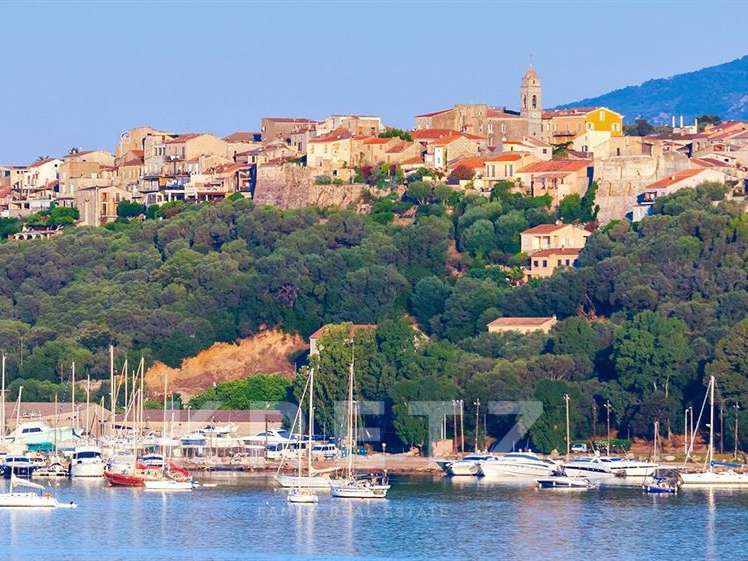 Maison Porto-Vecchio - 3 chambres - 234m²