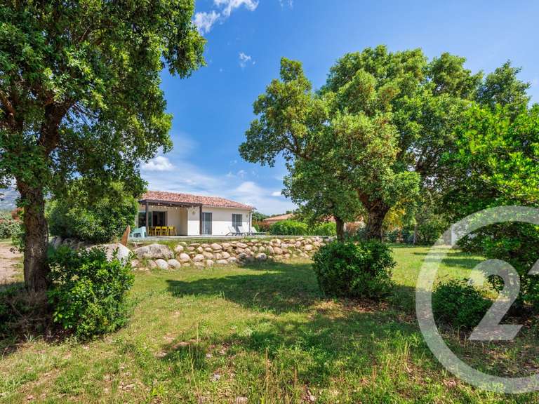 Maison Porto-Vecchio - 4 chambres - 165m²