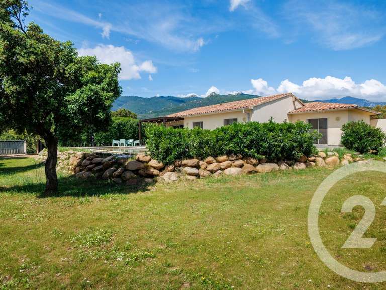 Maison Porto-Vecchio - 4 chambres - 165m²