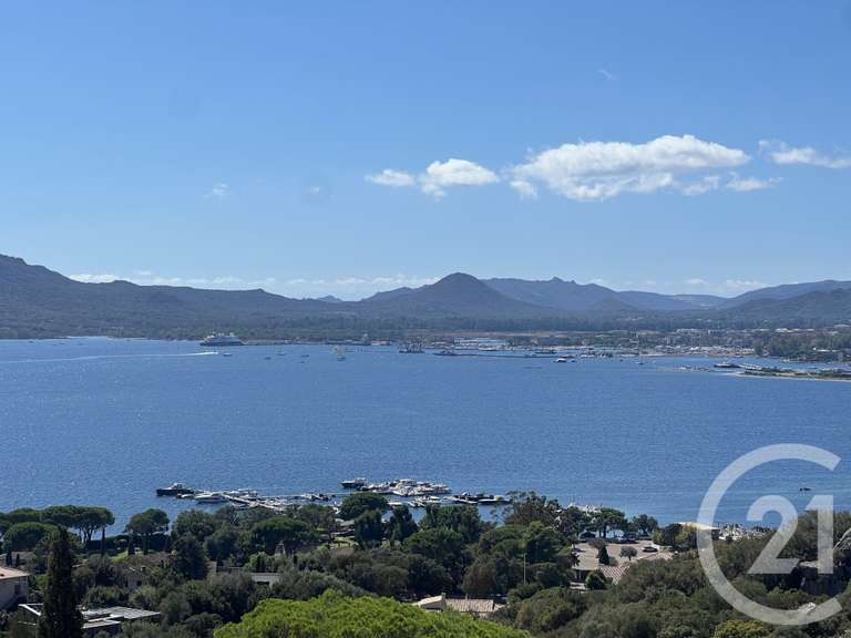 Maison Porto-Vecchio - 6 chambres - 264m²