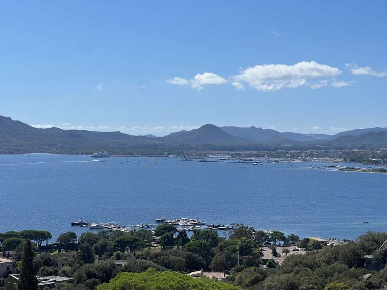 Maison Porto-Vecchio - 6 chambres - 264m²