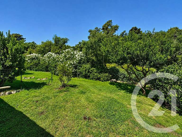 Maison Porto-Vecchio - 4 chambres - 137m²