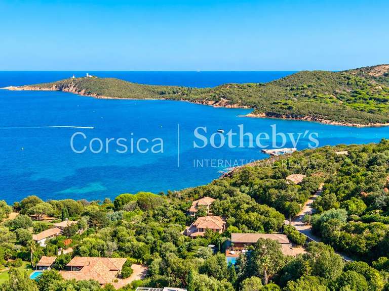 Maison Porto-Vecchio - 7 chambres - 650m²