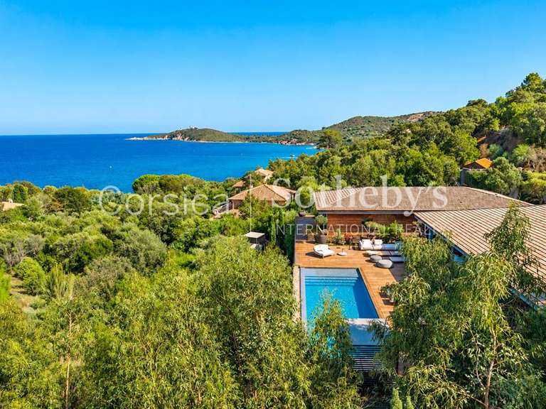 Maison Porto-Vecchio - 7 chambres - 650m²