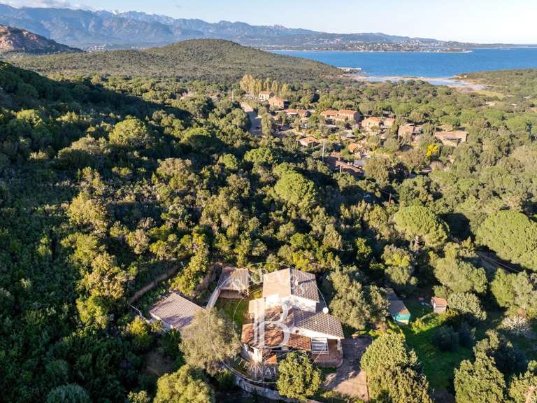 Propriété Porto-Vecchio - 4 chambres - 190m²