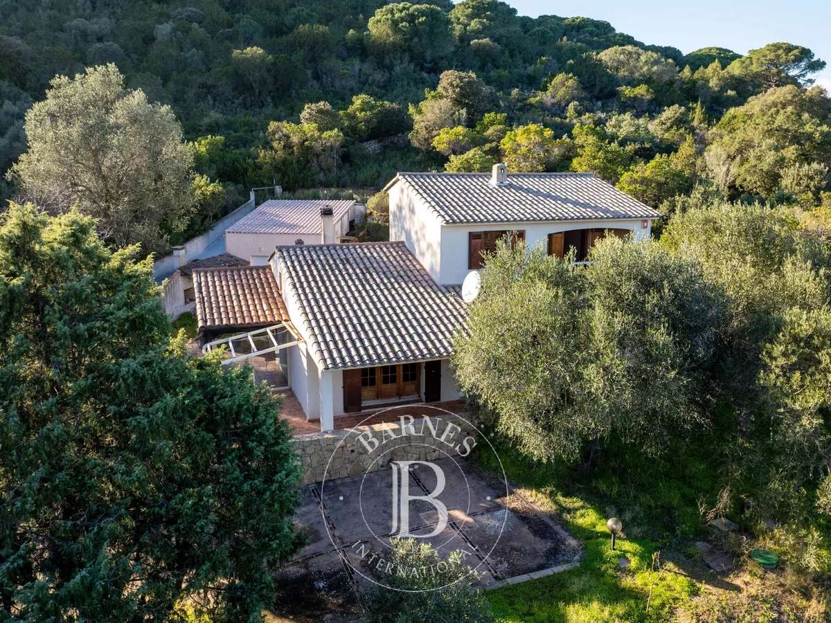 Property Porto-Vecchio